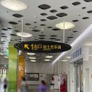 오락랜드 | 중국 상하이 디즈니랜드 입장권 가격 놀이기구 추천 후기