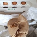 수아네 농장 이미지