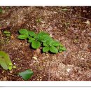 고래산농장 이미지