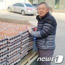 송오농장 뉴스1