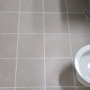 영진아파트 앞 1 이미지