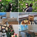 러스틱라운지 이미지