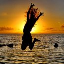 행복한 여정 이미지