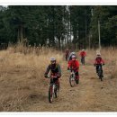 용강목장 이미지