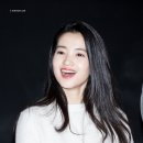 태리 이미지