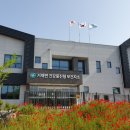 실버 요가 이미지