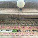 퀸테라피 이미지