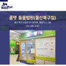 쿨펫동물병원 홈플러스 북구점 이미지