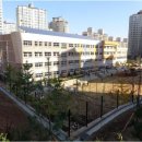 태성초등학교 이미지