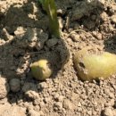 새순2농장 이미지