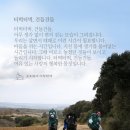 건들 Daum카페