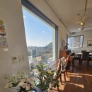 핑크브리즈힐 이미지