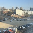 숲속앤독 | 평택 | 깔끔하고 인테리어 예쁜 애견카페는 “숲속앤독”