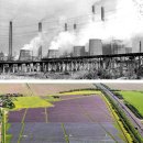 통일태양광발전소 이미지