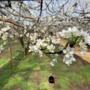 세명2농장 이미지