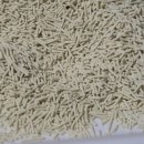 펫바이블 이미지