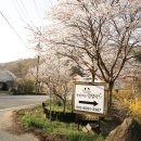 콩밭매는 강아지 이미지