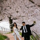 198스냅