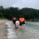 청자복음수산 | 태안여행_의항해수욕장_모항항_안면도_청자복음수산
