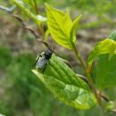 기명농장 이미지