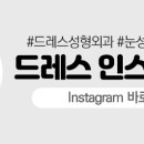 드레스성형외과의원 이미지