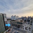 아브뉴프랑 옐로우 이미지