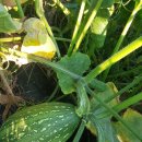 조리농업협동조합 이미지