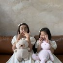 231 | 별내셀프사진관 별내231무드 렌탈 스튜디오 후기