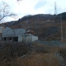 터골옆 Daum카페