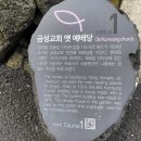 금성교회 뒤