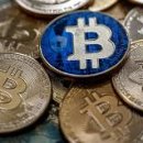 동원기업태양광발전소 이미지