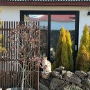 희도민박 이미지