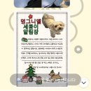 멍그니엘 이미지