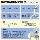 둘리유치원 이미지