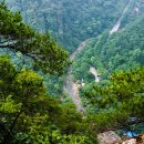 돌고개로 이미지