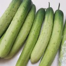 중부농산 이미지