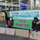 그린라이프 팩 이미지