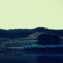 도곡낚시터 이미지