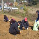 내촌면주민자치센타 이미지