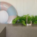 히유 스테이 이미지