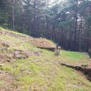 평거동6 이미지