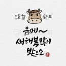 퓨전난타 이미지