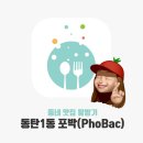 포박(PhoBac)