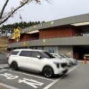 꿀벌 | 주말 아이와 함께 갈만한 곳 꿀벌나라 테마공원 후기 체험 예약방법까지