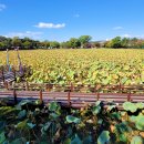 진주산소 이미지