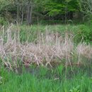 도원서원 이미지