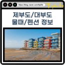 바다향기펜션 | 제부도 대부도 물때시간표 5월 및 근처 아이 반려견 가족 독채 펜션 정보