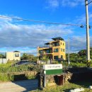 아롬타롬 | 제주시 강아지동반 여행 가성비 최고 청결 펜션 - 아롬타롬 강추~~