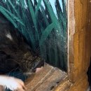 수원-0819 이미지