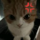 준스테이 이미지